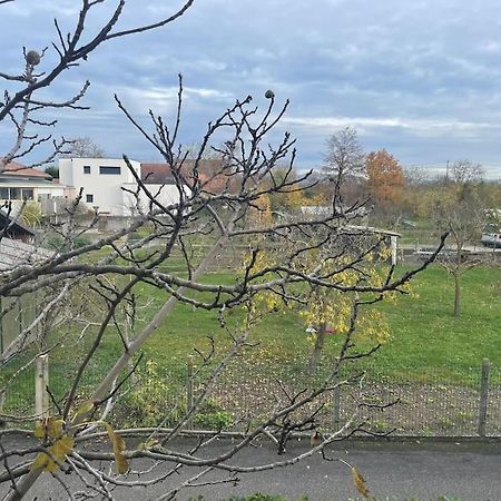 La Grange Proche D'Europapark Lägenhet Kunheim Exteriör bild