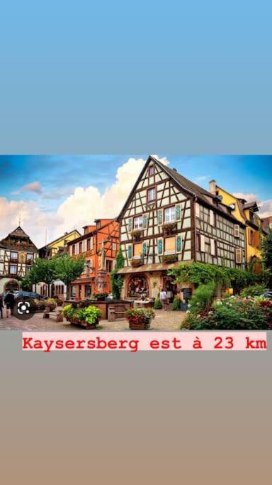 La Grange Proche D'Europapark Lägenhet Kunheim Exteriör bild