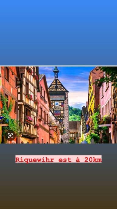 La Grange Proche D'Europapark Lägenhet Kunheim Exteriör bild