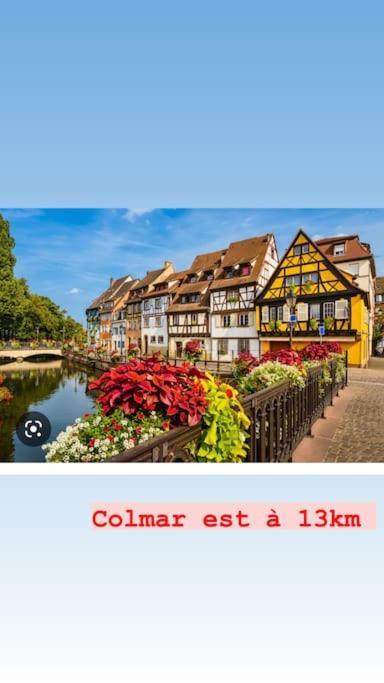 La Grange Proche D'Europapark Lägenhet Kunheim Exteriör bild